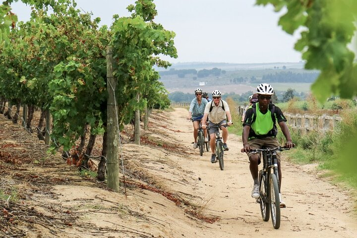 Stellenbosch Luxury Winelands EBike Tour © - Photo 1 of 8